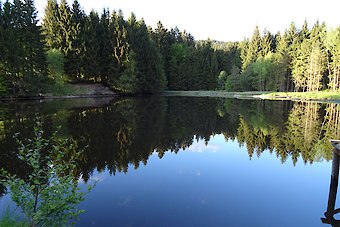 Angelurlaub im Bayerischen Wald